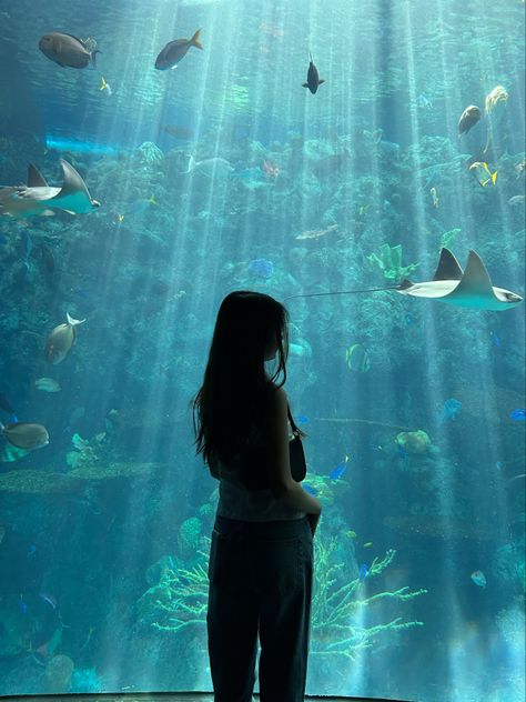 Aquarium date aesthetic pose Vibe Pics, Aquarium Photos, Aquarium Pictures, Georgia Aquarium, 사진 촬영 포즈, Underwater Photos, Instagram Photo Ideas Posts, Aesthetic Cute, Instagram Photo Inspiration