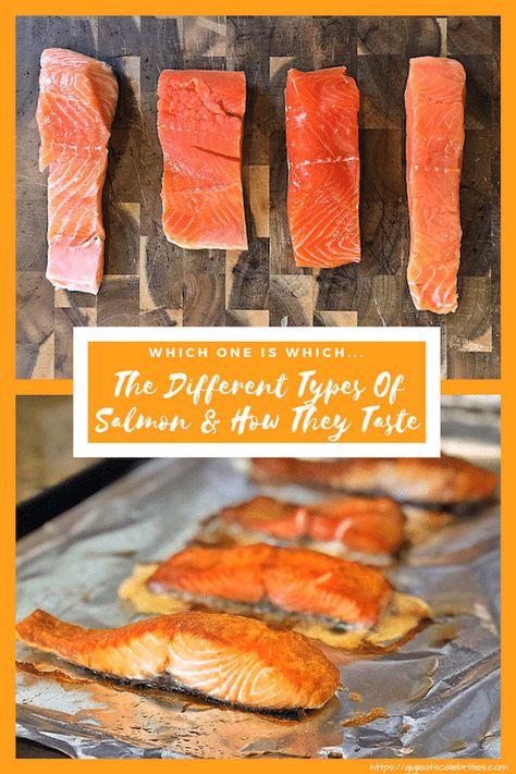 Different Types Of Salmon, Coho Salmon Recipes Baked, Coho Salmon Recipes, Salmon Dinners, Coho Salmon, Fish Friday, Seafood Recipes Healthy, Healthy Salmon Recipes, Healthiest Seafood