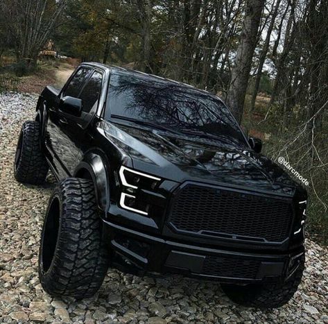 Ford F150 Raptor Black, Lifted Ford F150, Ford Raptor Lifted, Jeep Driving, Ford F150 Lifted, F150 Lifted, Custom Truck Parts, 2018 Ford F150, Ram Trx