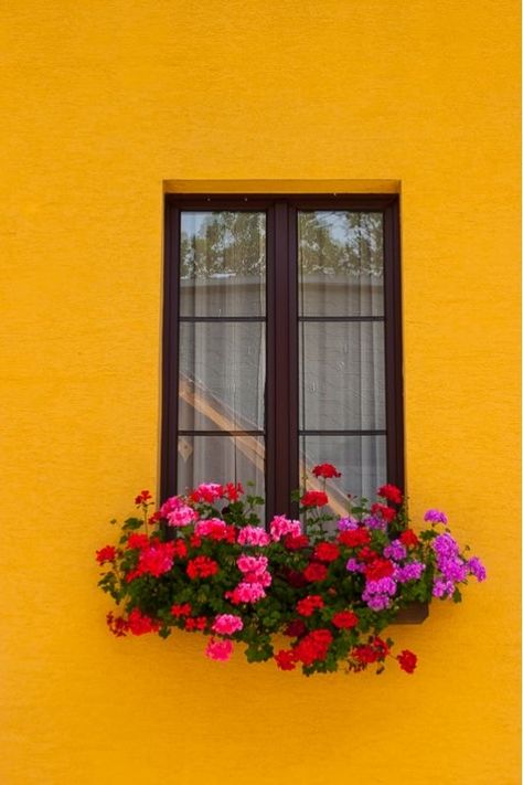 Tangerine Walls, Beautiful Europe, Futurisme Retro, Pintura Exterior, Flower Window, Yellow Wall, Beautiful Windows, Casa Exterior, Window Boxes