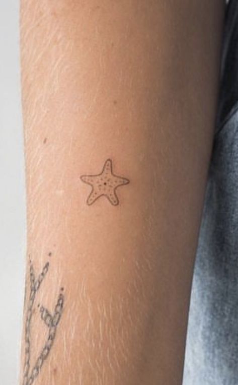 Sandollar Tattoo Sand Dollars, Simple Starfish Tattoo, Star Fish Tattoos, Coastal Tattoos, Dainty Tattoo Ideas, Boot Tattoo, Cowboy Boot Tattoo, Australia Tattoo, Starfish Tattoo