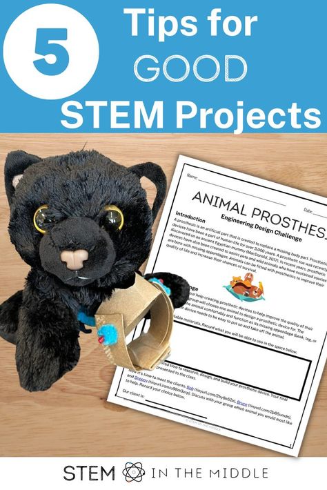 The image shows a stuffed cat with a diy prosthetic device in place of its front limb. A worksheet is pictured title "Animal Prosthesis." Middle School Stem, Engineering Design Challenge, Stem Lessons, Student Centered Learning, Stem Lesson, Engineering Design Process, Stem Teacher, 21st Century Skills, Presents For Teachers