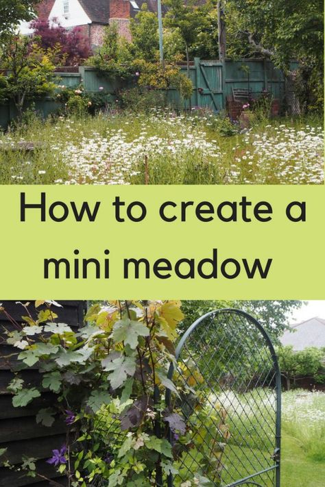 Mini Meadow, Wildflowers Garden, Country Garden Decor, Wild Flower Meadow, Meadow Garden, Garden Beautiful, Potager Garden, Garden Aesthetic, Garden Types