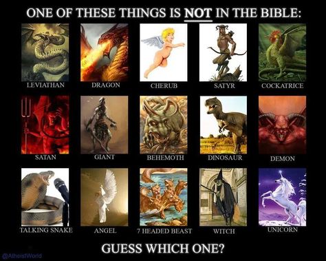 ...The only one that there is any evidence for - the dinosaur! Irony! Leviathan Dragon, Atheist Humor, Atheist Quotes, Losing My Religion, Anti Religion, Thomas Aquinas, Holy Bible, The Worst, Logic