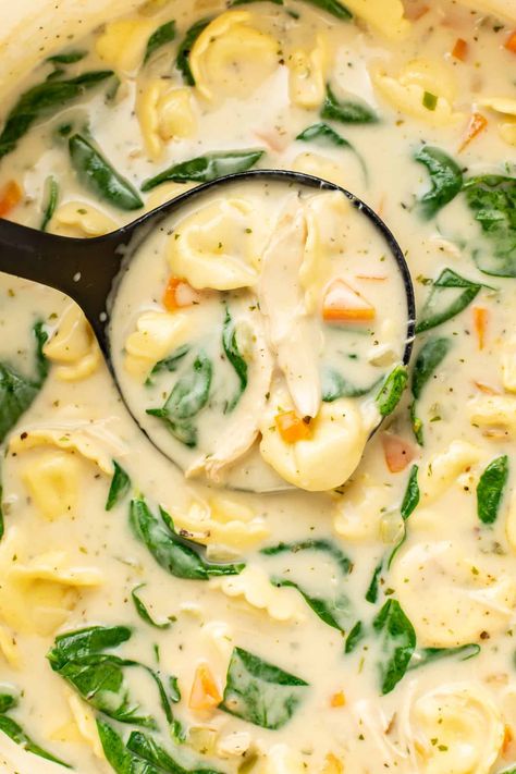 a ladle with lemon chicken tortellini soup Crockpot Tortellini, Lavender Chicken, Lemon Dill Chicken, Creamy Tortellini Soup, Chicken Tortellini Soup, Lemon Soup, Recipe Using Chicken, Creamy Lemon Chicken, Chicken Tortellini