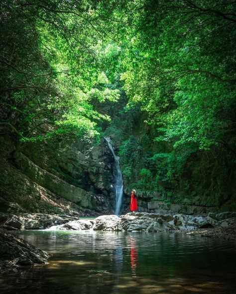 Kagawa, Small Waterfall, Aesthetic Japan, Tag Photo, Visit Japan, Beautiful Scenery, Japan Travel, Forest, Japan