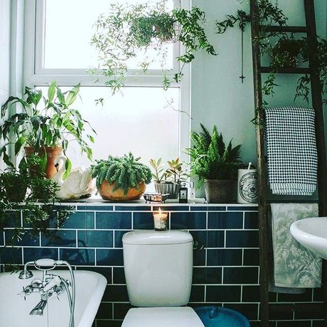 I D E A S Bathroom Plants If you don't have the patience to look after indoor plants now during the summeranother great place for plants is your bathroom.The moisture after a shower is perfect for them.But make you have a light sources like a window in your bathroom.Plus you will never forget to water them as well.Here are a few plants you can have in the bathroom 1.Peace Lily 2.Cast Iron Plant 3.Aloe Vera(Your entire skincare routine in a pot) 4.Ferns 5.Orchids (Perfect on the window sill) ... Interior Boho, Potters House, Bathroom Plants, Bathroom Windows, Green Tile, Blue Bathroom, Dream Bathroom, Decor Minimalist, Beautiful Bathrooms