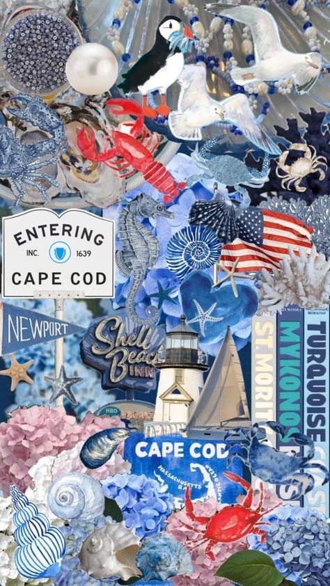 Cod Wallpaper, Cape Cod Aesthetic, Coastal Wallpaper, Nautical Wallpaper, Cute Summer Wallpapers, Iphone Wallpaper Pattern, Poster Room, Seaside Beach, Phone Wallpaper Patterns