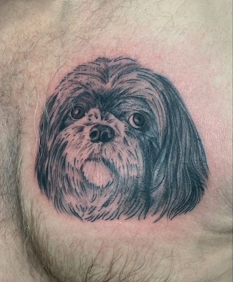 Shih Tzu Tattoo, Ear Outline Tattoo, Female Shih Tzu, Dog Outline Tattoo, Ear Outline, Dog Memorial Tattoos, Dog Outline, Dog Line Art, Outline Tattoo