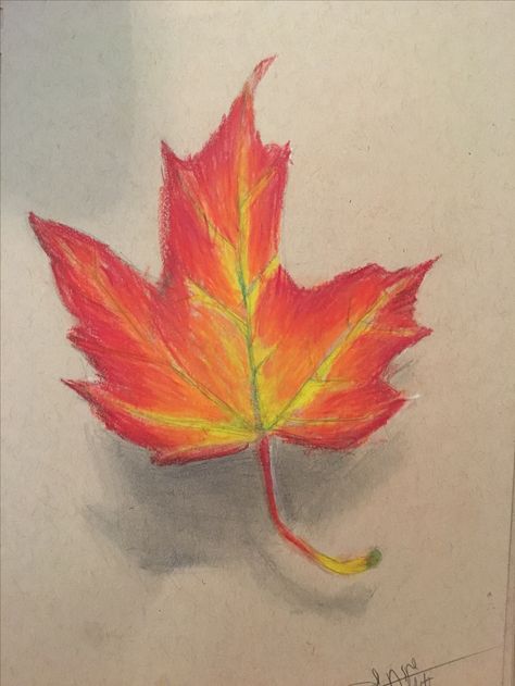 Realistic drawing of a leaf falling. Falling Leaf Drawing, Leaves Drawing Tattoo, Realistic Leaf Drawing, Drawings Of Leaves, Maple Leaf Drawing, Fall Leaves Drawing, Art Homework, Leaves Drawing, Drawing Colorful