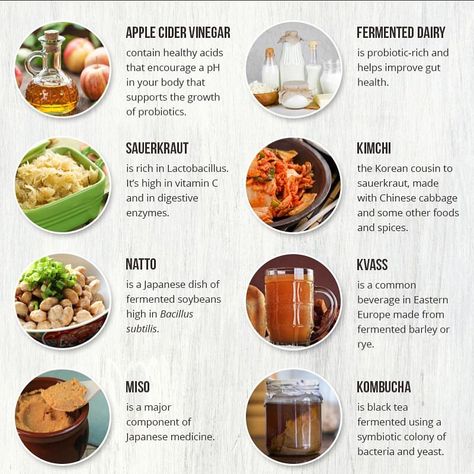 Fermented Dairy, Prebiotic Foods, Gut Health Recipes, Prebiotics And Probiotics, Info Board, Probiotic Foods, Improve Gut Health, Leaky Gut, Healing Food