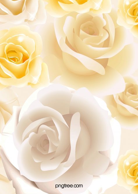 White Rose Flower Bouquet background Flower Bouquet Background, White Rose Flower Bouquet, Rose Petals Falling, Valentines Day Border, Pink Roses Background, Rose Flower Bouquet, Wedding Invitation Background, White Rose Flower, Frame Floral