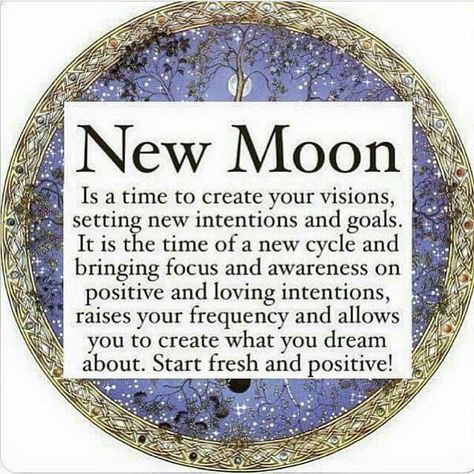 New Moon Capricorn, Witchy Bachelorette Party, Lotus Spiritual, New Moon Manifestation, Witchy Bachelorette, New Moon In Capricorn, New Moon In Taurus, New Moon Intentions, Moon Capricorn