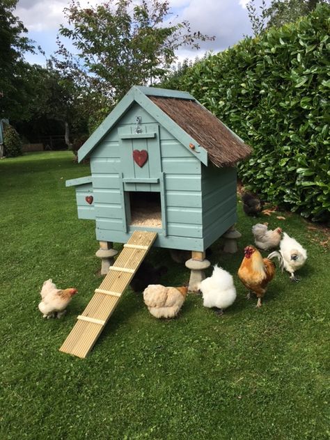 Silky Chicken Coop, Chicken Coupe Ideas, Silkie Chickens Coop, Barn Chicken Coop, Cute Chicken Coops, Country Kitchen Ideas, Chicken Coop Garden, Backyard Chicken Coop Plans, Country Vibes