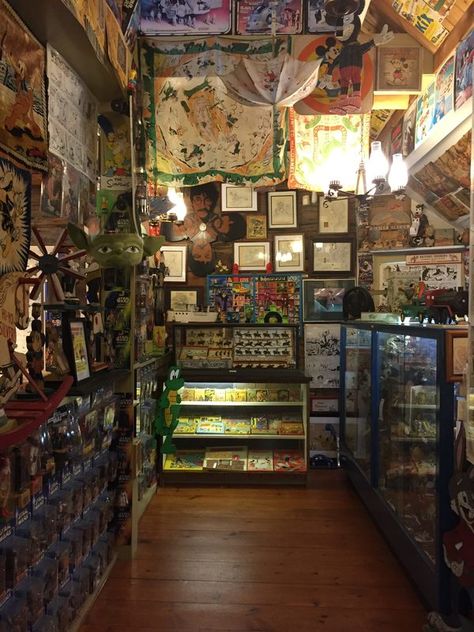 Dog And Boyfriend, Toy Store Aesthetic, Antique Shop Aesthetic, The Menendez Brothers, Cottage Academia, Golden Tattoo, Vintage Maximalism, Store Aesthetic, Environment Reference