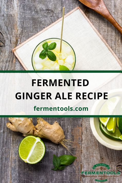 Fermented Ginger Ale Recipe by Fermentools Pine Needle Soda, Fermented Lemonade, Fermented Soda, Fermented Ginger, Cooking With Ginger, Ginger Ale Recipe, Gut Healthy Recipes, Ginger Soda, Fermented Food Recipes