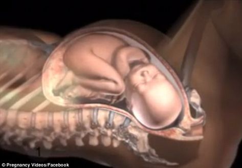 A video animation reveals exactly how a woman's body adapts and moves, allowing her to give birth Normal Birth, Mucus Plug, Period Jokes, Early Labor, Birth Videos, Emergency C Section, Body Map, Give Birth, Baby Birth