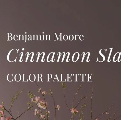 Online Color Consulting on Instagram: "It's time for the 2025 Paint Colors of the Year 🥳   Kicking off the colors is Cinnamon Slate from #BenjaminMoore 💜  In addition to naming Cinnamon Slate its 2025 Color of the Year, Benjamin Moore also released a coordinating Color Trends palette featuring nine other gorgeous paint colors.  The colors include:  1. Cinnamon Slate (2113-40) 2. Sea Salt (CSP-95) 3. Leather Saddle Brown (2100-20) 4. Chowning’s Tan (CW-195) 5. Tissue Pink (1163) 6. Stained Glass (CSP-685) 7. Ashwood Moss (1484) 8. Rosepine (461) 9. Paris Rain (1501) 10. Glacier White (OC-37)  Overall, this palette features lots of moody, earthy paint colors that are bold without being bright.   It's very warm and creates a cozy, inviting atmosphere in a home.  If you'd like a full review Slate Color Aesthetic, Cinnamon Paint Colors, Ashwood Moss, Earthy Paint Colors, Paint Colors Of The Year, Cinnamon Slate, Slate Color, Grey Color Palette, Saddle Brown