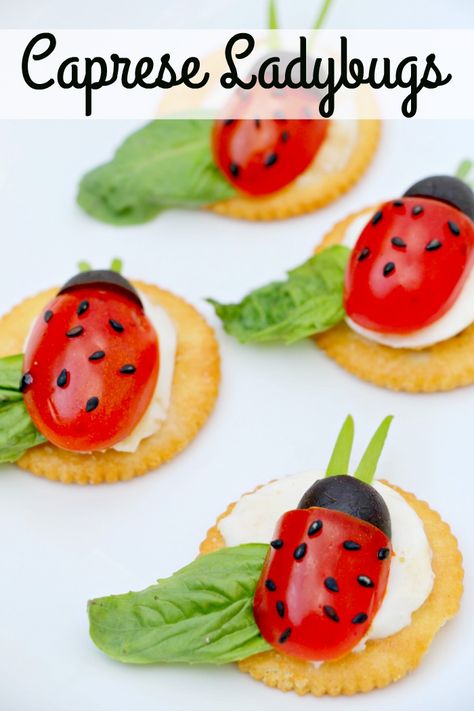 Caprese Ladybugs Recipe – Miss Frugal Mommy Caprese Ladybugs, Caprese Salad Appetizer, Bug Food, Caprese Bites, Edible Ideas, Salad Appetizer, Party Platter, Appetizer Bites, Bee Birthday