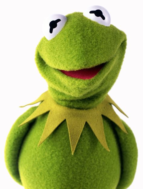 It’s Time to Re-Re-Re-Meet the Muppets - The New York Times Sesame Street Characters, Kermit The Frog, The Frog, Sesame Street