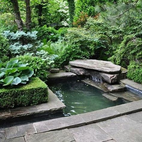 Modern pond design idea. Square pond with a natural stone waterfall. . . . #pond #landscape #ponddesign #landscapedesign #pondwaterfall #watergarden #watergardens #watergardening #koifishpond #backyardproject #watergardening #backyardproject #fountainideas #waterfalldesign #waterfeature #backyardwaterfall #pondlandscape #pondlamdscaper #greengarden #greenzen #pondlife #relax #tranquility #peaceful #homeinspiration #peacefulplace #zen #zenpond Pond Landscape, Taman Air, Small Water Features, Small Pond, Pond Landscaping, Pond Design, Water Features In The Garden, Have Inspiration, Ponds Backyard