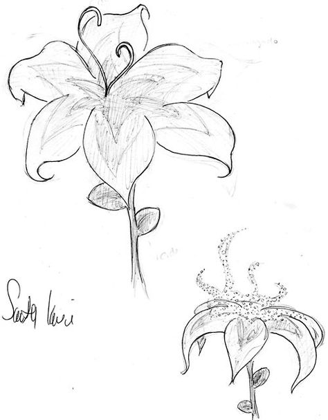 Disney Tattoos Tangled, Sundrop Flower Tangled, Tangled Flower Painting, Rapunzel Flower Drawing, Tangled Flower Drawing, Rapunzel Tattoo, Rapunzel Flower, Morning Glory Tattoo, Glory Tattoo