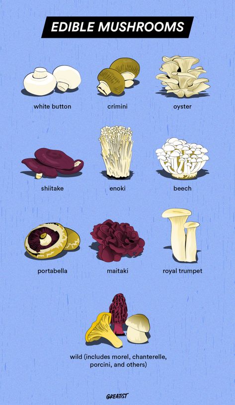 Edible Mushrooms: 10 Delicious Varieties to Try Button Mushroom Recipes, Types Of Edible Mushrooms, Mushroom Identification Chart, Edible Mushrooms Chart, Edible Mushrooms Identification, Mushroom Business, Mushroom Types Edible, Mushroom Types Poster, Mushroom Knowledge