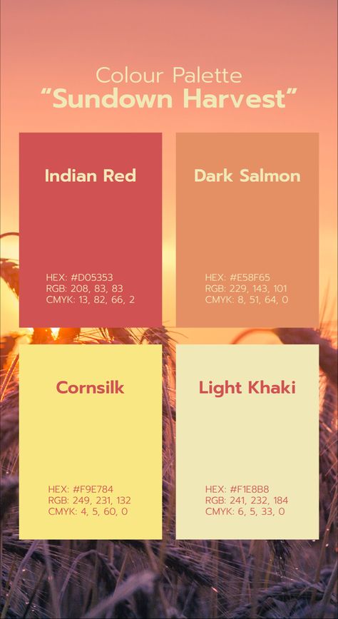 Colour Palette Burnt Orange, Harvest Colour Palette, Burnt Orange Branding, Soft Red Color Palette, Harvest Color Palette, Colors That Go With Orange, Color Palette With Orange, Warm Tone Palette, Three Color Palette