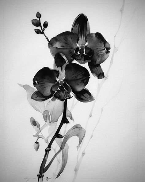 Bloom Drawing, In The Shadows, Black Orchid, A King, The Shadows, The King, Orchids, Kiss, Drawings