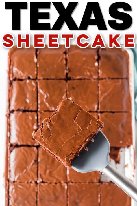 BEST TEXAS SHEET CAKE Texas Chocolate Sheet Cake, Texas Recipes, Texas Sheet Cake Recipe, Sheet Cake Recipe, Delicious Chocolate Cake, Texas Sheet, Family Desserts, Chocolate Dishes, Flourless Cake