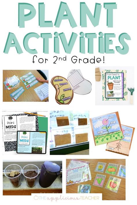 2nd Grade Thematic Units, Lesson Plan Second Grade, Plant Lessons For 2nd Grade, Amplify Science 2nd Grade, Homeschool Unit Study Ideas 2nd Grade, 2nd Grade Projects Ideas, Second Grade Science Lessons, Second Grade Crafts Projects, Second Grade Projects