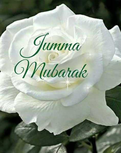 Zuma Mubarak, Juma Tul Wida Mubarak Images, Jummah Mubarak Image En Francais, Quotes For Jumma Mubarik, Happy Mothers Day Wallpaper, Juma Mubarak Pictures, Alvida Juma Mubarak Images, Jumuah Quotes, Jumma Mubarak Image New Photos