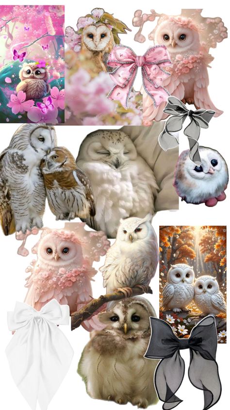 Did for my obsessed mom with owls Owls, Quick Saves