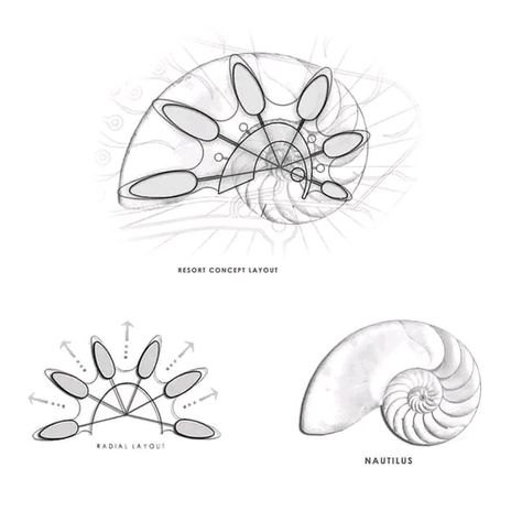 Organic Shaped Architecture, Organic Forms Design Architecture, Organic Modular Architecture, Organic Forms Architecture, Organic Architecture Plan, Form Concept Architecture, Architectural Forms Concept Shape, Organic Architecture Concept Sketch, Biomimicry Architecture Concept