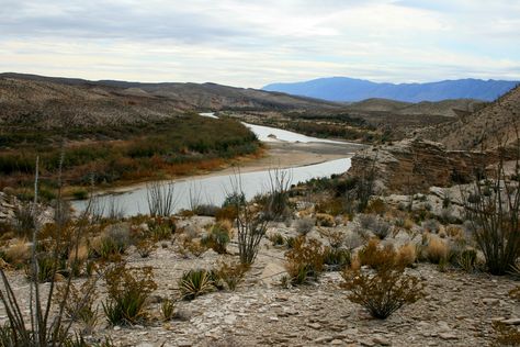 Chihuahua Desert, Rivers In The Desert, Deserts Of The World, Lost River, Chihuahua Mexico, Desert Travel, Big Bend National Park, State Of Texas, Watercolor Tree