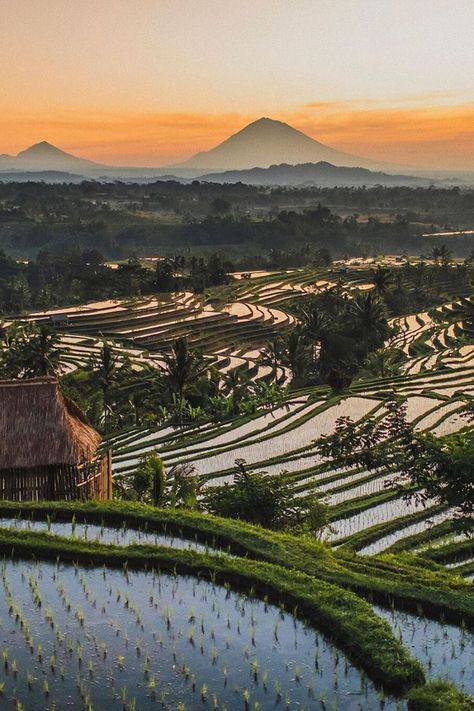 Sunrise Scenery, Bali Holiday, Gap Year Travel, Island Wallpaper, Voyage Bali, Bali Holidays, Bali Travel Guide, Bali Island, Rice Terraces