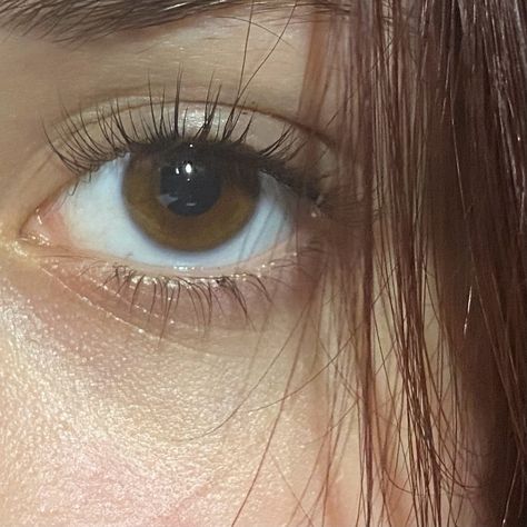 Brown eyes Bright Brown Eyes, Marin Core, Madison Core, Aphmau Minecraft, Green Brown Eyes, Light Brown Eyes, Brown Eyes Aesthetic, Pjo Dr, Minecraft Diaries