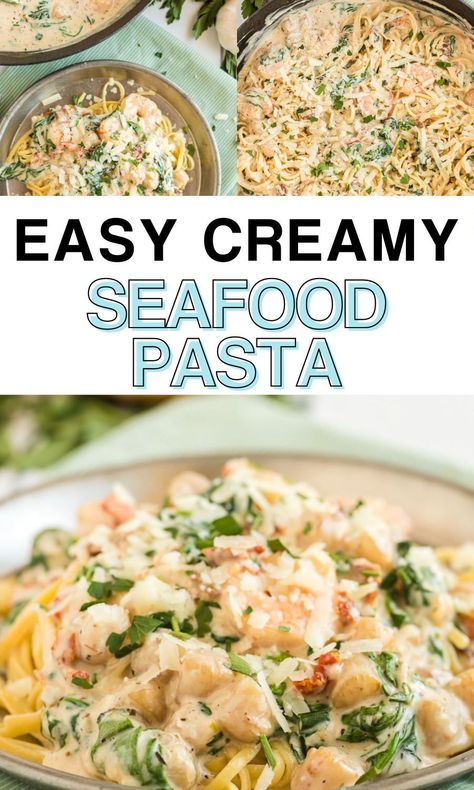 Scallop And Shrimp Pasta, Scallops And Pasta, Sour Cream Pasta, Seafood Pasta Bake, Scallop Recipes Pasta, Creamy Seafood Pasta, Creamy Seafood, Scallop Pasta, Seafood Soup Recipes