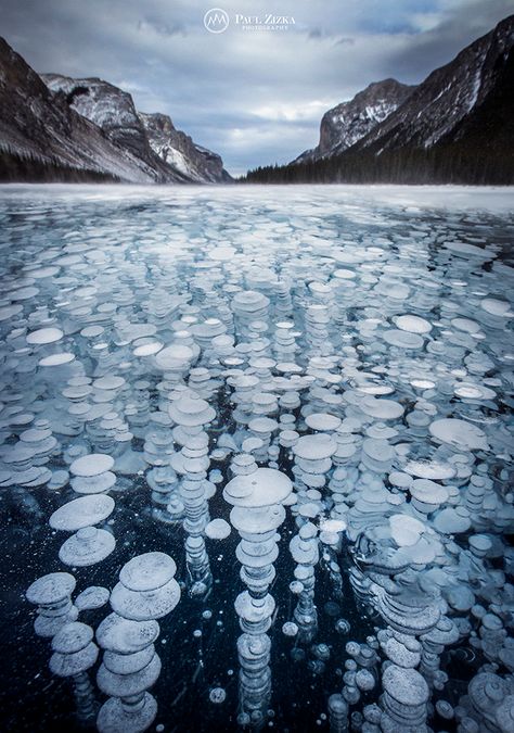 Beneath the most beautiful ice rink in the world Club Video, Banff National Park, Alam Yang Indah, Winter Landscape, Landscape Photographers, Landscape Photos, Drawing Techniques, Food Food, Amazing Nature