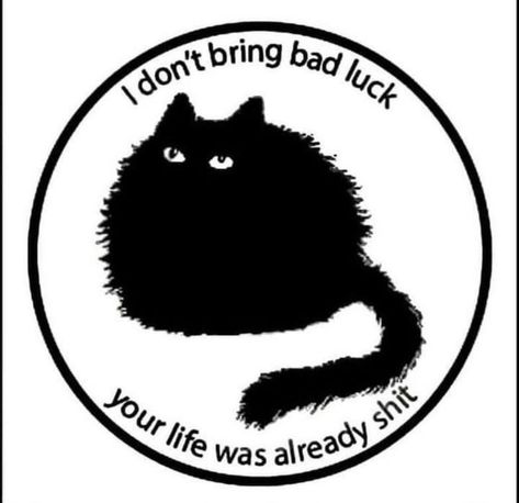 Cat Inspiration, Shirt Quotes, Moon Cat, Kitty Art, Söt Katt, Mental State, Bad Luck, Cat Quotes, Cat Stuff