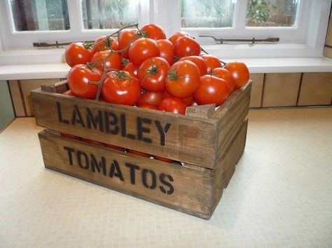 Crates Ideas, Tomato Art, Tomato Growers, La Tomatina, Mini Crates, Vintage Crates, Vegetable Boxes, Old Crates, Seed Box