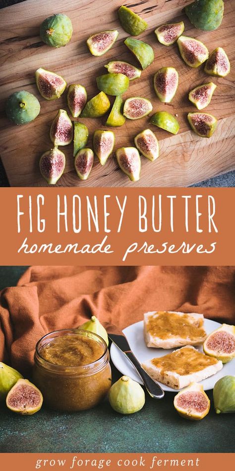 Toast Appetizers, Fig Recipes Fresh, Fig Butter, Butter Homemade, Frugal Food, Morning Toast, Jam Recipes Homemade, Fig Fruit, Homemade Sourdough Bread