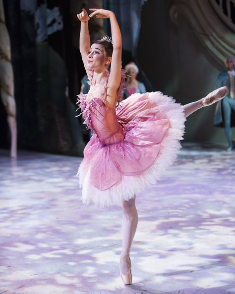 Fairytale Cottagecore, Sleeping Beauty Ballet, Pink Obsession, Bubble Birthday, Ballet Images, Australian Ballet, Ballet Russe, Ballet Pictures, Ballet Aesthetic