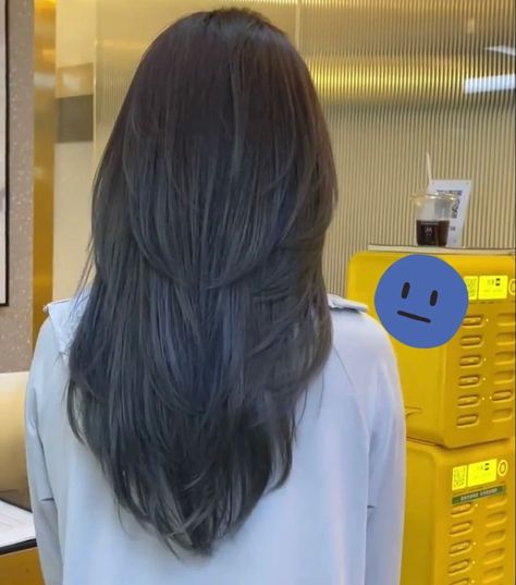 Layers On Straight Hair Not Styled, V Haircut For Hair Medium, Long V Layered Hair, Asian Long Layers Haircut, V Layered Haircut Short, Short Layered Haircuts For Long Hair, V Haircut Short Hair, Short Layers On Medium Hair, Long Hair Cuts With Layers Round Face