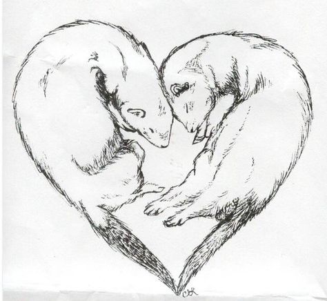 Ferret tattoo idea Ferret Line Art, Ferret Tattoos, For Women Tattoo Design, Women Tattoo Design, Stencil Tattoos, Ferret Tattoo, Ferret Art, Otter Tattoo, Ferret Stuff