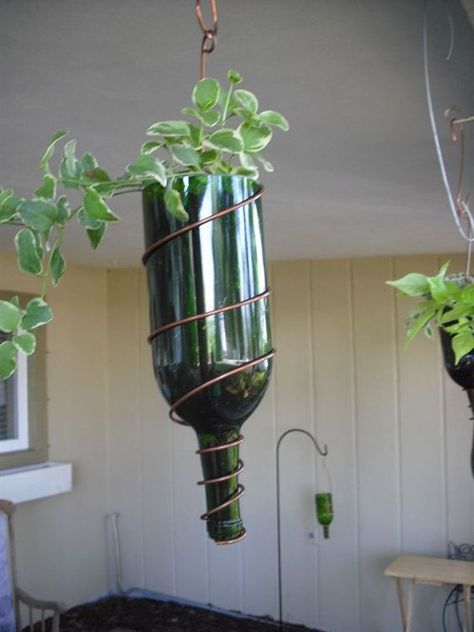 Herb Garden Outdoor, Herb Garden Tips, Wine Bottle Planter, Bottle Hanging, Wine Bottle Project, Outdoor Herb Garden, Plants In Bottles, Recycled Wine Bottle, Herb Garden Design