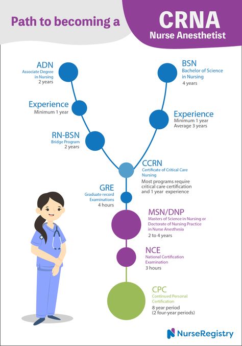 Thinking about becoming a CRNA (nurse anesthetist)? Learn what's required and check out comparison charts for salaries and job outlook.  #nurses #nursing #nursingeducation #nursingleadership #anesthesia #crna #registerednurse #rn #aprn #credentialing Crna Nurse Anesthetist Study, Assistant In Nursing, New Er Nurse Tips, Anesthesia Nurse, Crna Nurse Anesthetist Aesthetic, Accepted To Nursing School, Infographic Education, Crna Nurse Anesthetist, Anesthesia School