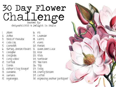 30 Day Flower Challenge - Allium Theme Nails, Comics Sketch, Nail Art Flower, Sketchbook Prompts, 30 Day Art Challenge, Watercolour Challenge, Art Journal Challenge, 30 Day Drawing Challenge, Witch Nails