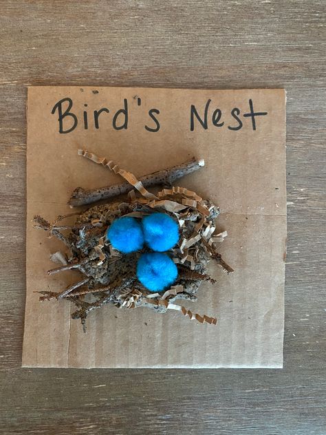 Bird’s Nest | Parents are the First Teachers Bird Nest Provocation, Nest Activity Preschool, Reggio Emilia Ideas Birds, Birds Reggio Emilia, Nest Activities Preschool, Bird Nest Activities Preschool, Spring Reggio Activities, Hibernation Eyfs, Bird Activity Preschool