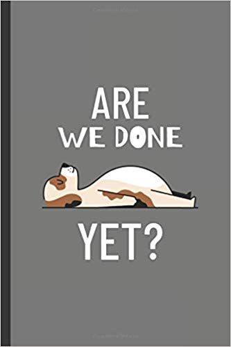 Are We Done Yet?: Blank Journal: Red Frog Press: 9781692612634: Amazon.com: Books Are We Done Yet, Blank Journal, Kindle App, Amazon Books, Journal Covers, Free Apps, Kindle Reading, Book Review, Kindle Books